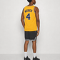 Chris Webber Michigan Basketball Jersey College