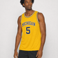 Jalen Rose Michigan Basketball Jersey College