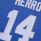 Tyler Herro Kentucky Basketball Jersey College
